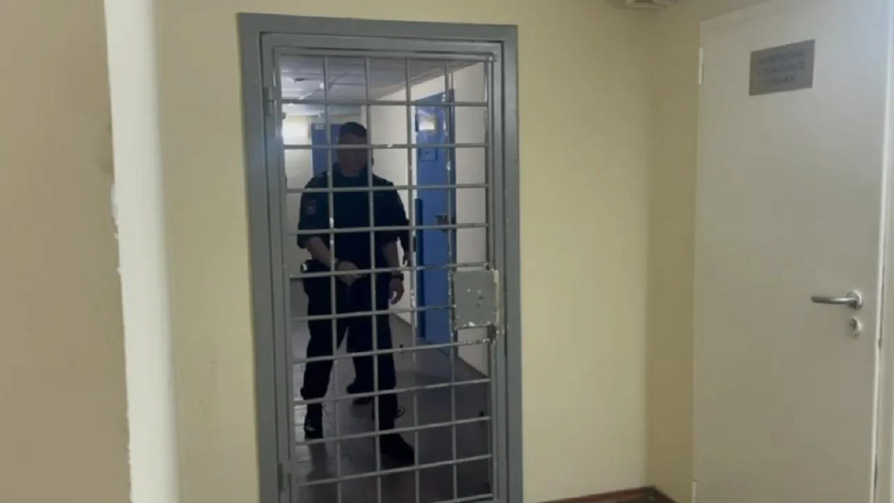 Мужчину, который ударил девочку в Люберцах, заключили под стражу