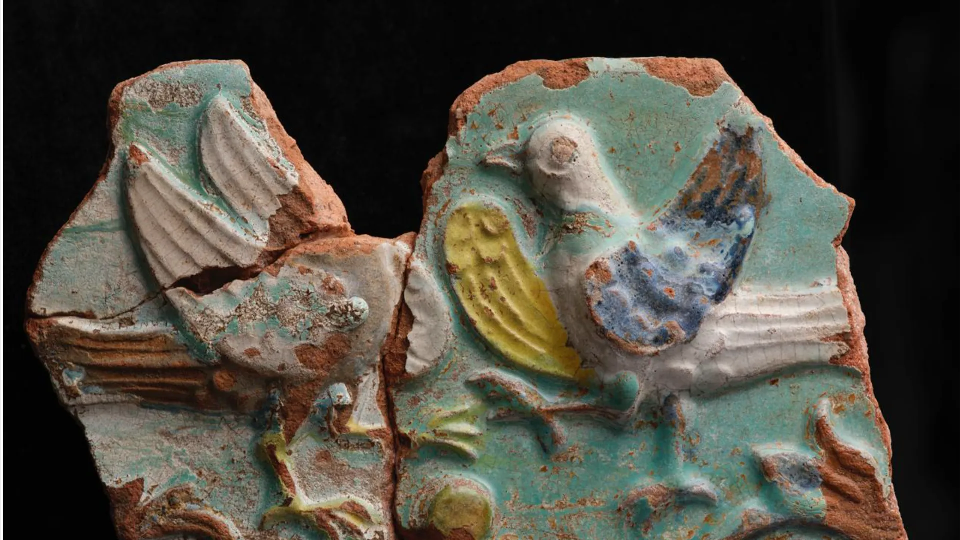 Фото: t.me/fondsposad