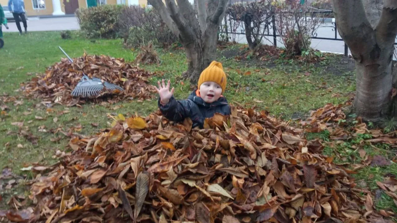 Фото: t.me/ParkVerbilki