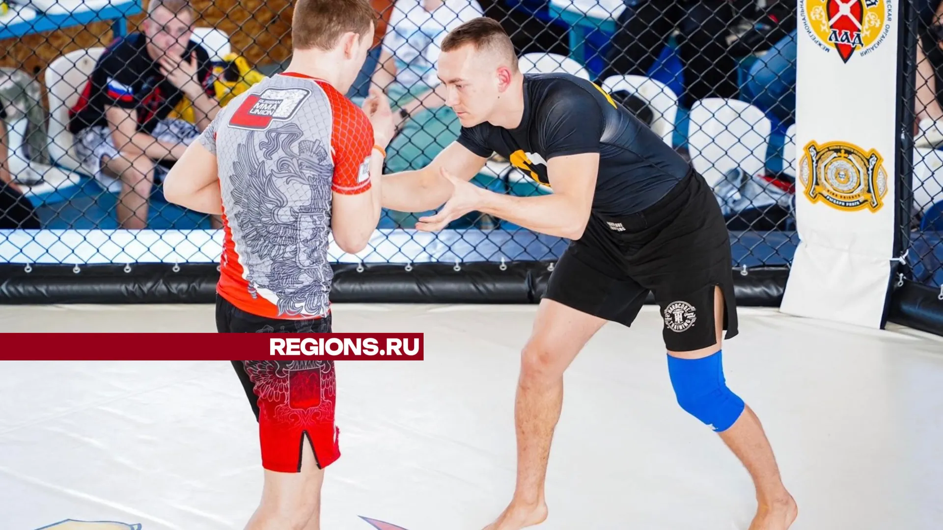 Фото: Анастасия Хренкова