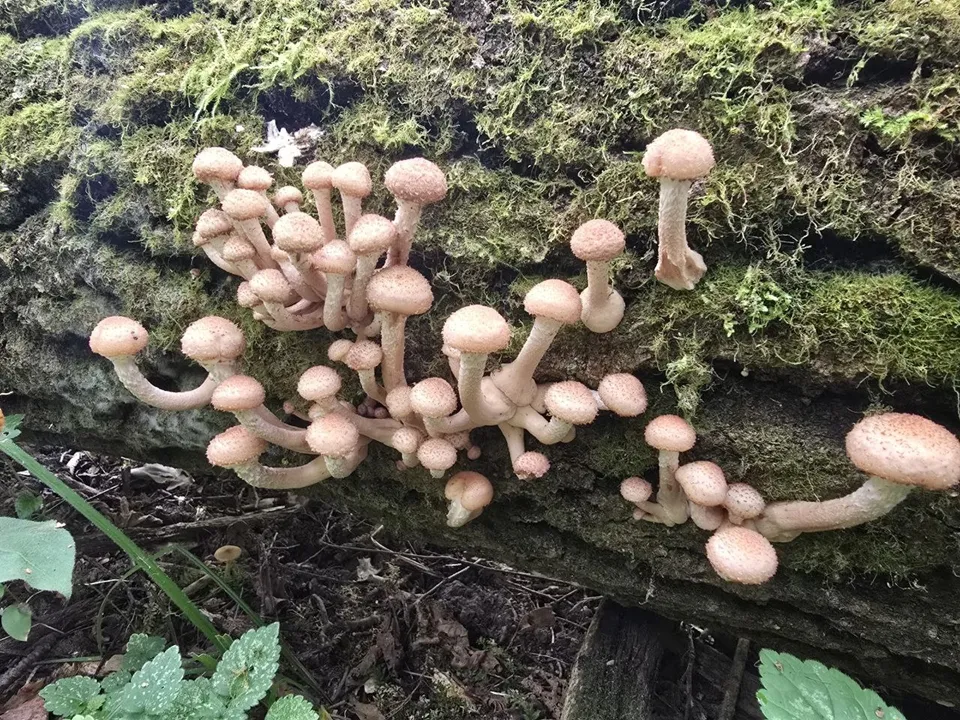 Фото: REGIONS/Яна Шаливская