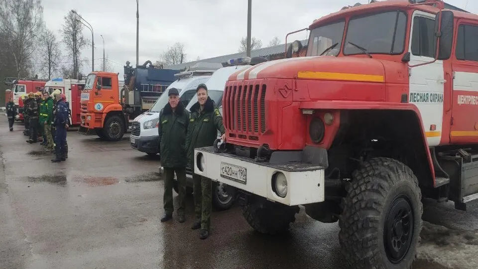 Фото: Комитет лесного хозяйства Подмосковья