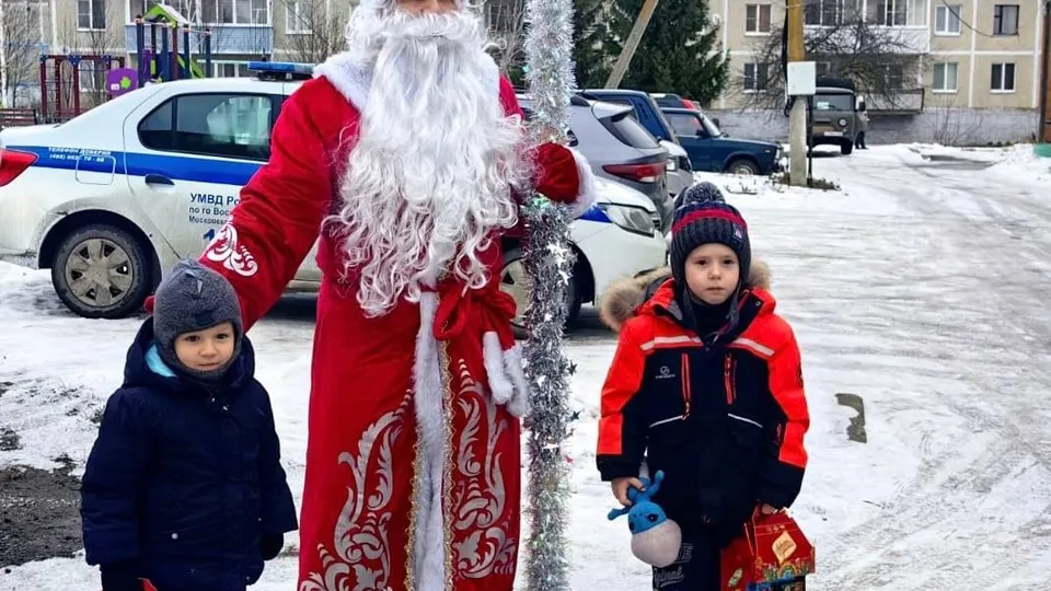 Фото: УМВД России по г.о. Воскресенск