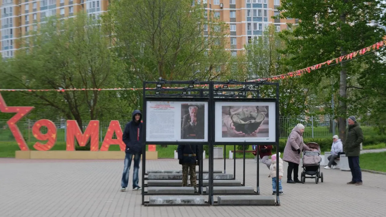 Фото: Мария Панина