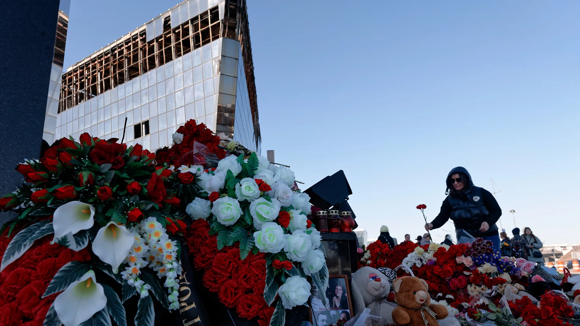 медиасток.рф