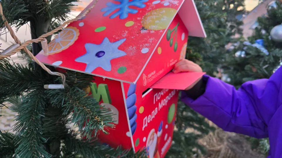 Фото: МедиаБанк Подмосковья/Яна Шаливская