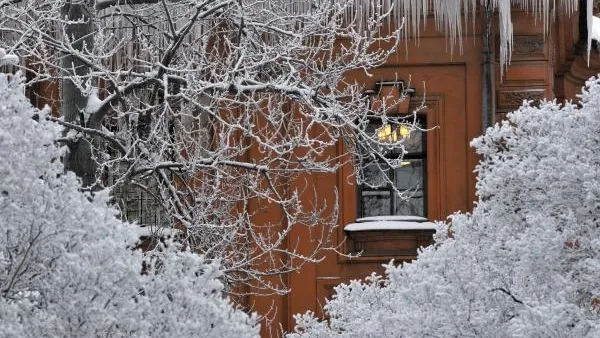 Небольшой снег и 8 градусов мороза ожидается в столичном регионе в субботу