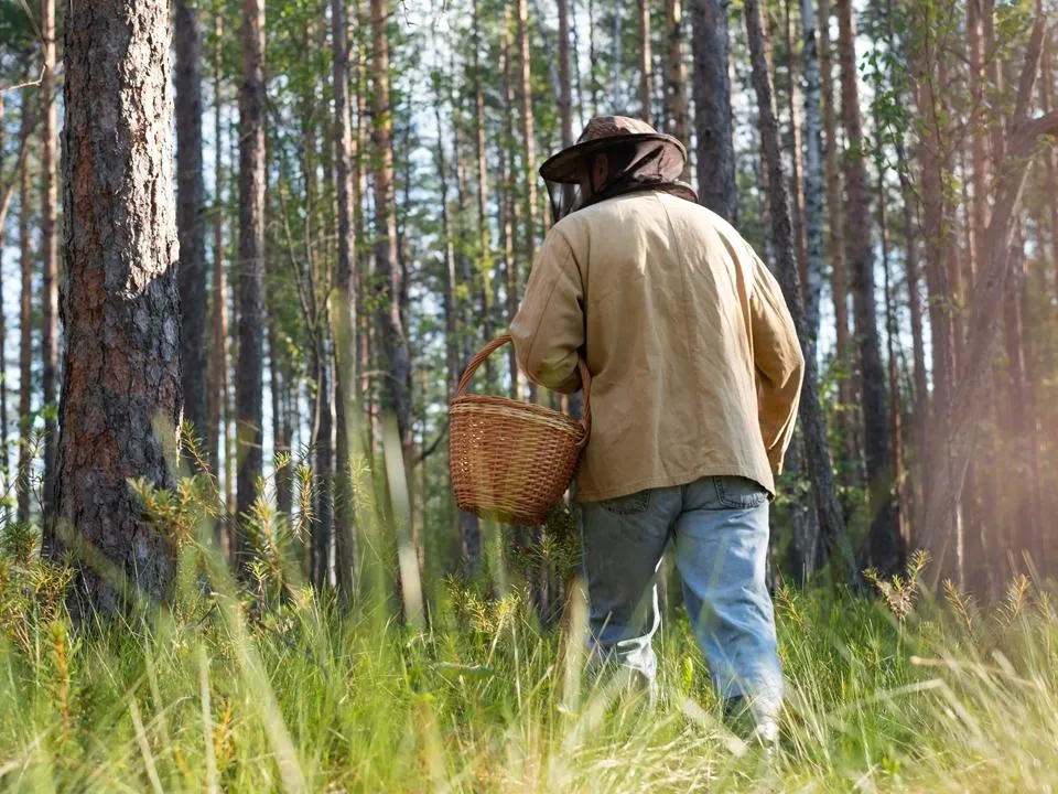 Фото: istockphoto.com