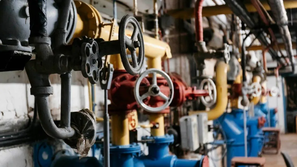 Фото: t.me/sobakin_mn