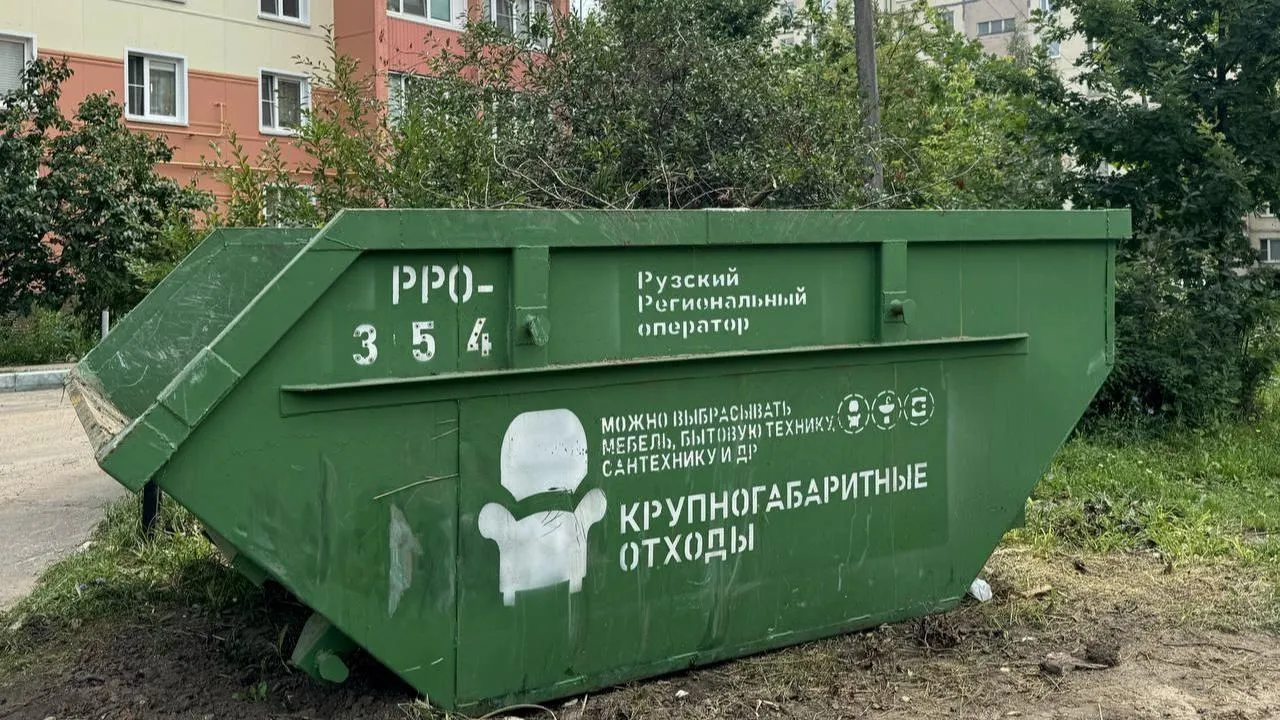В Подмосковье за полгода выписали штрафы на 23 млн руб. за незаконный сброс крупногабаритных отходов во дворах