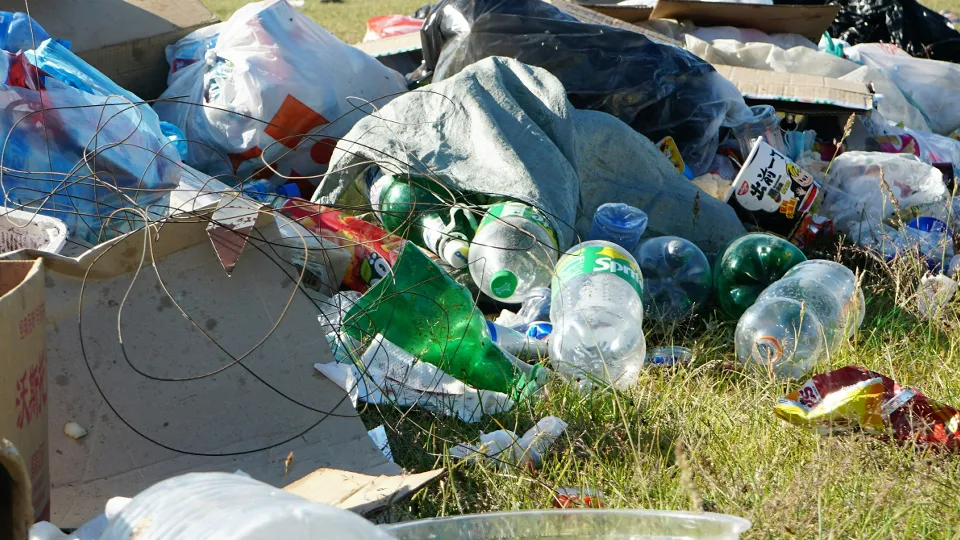 Фото: unsplash.com