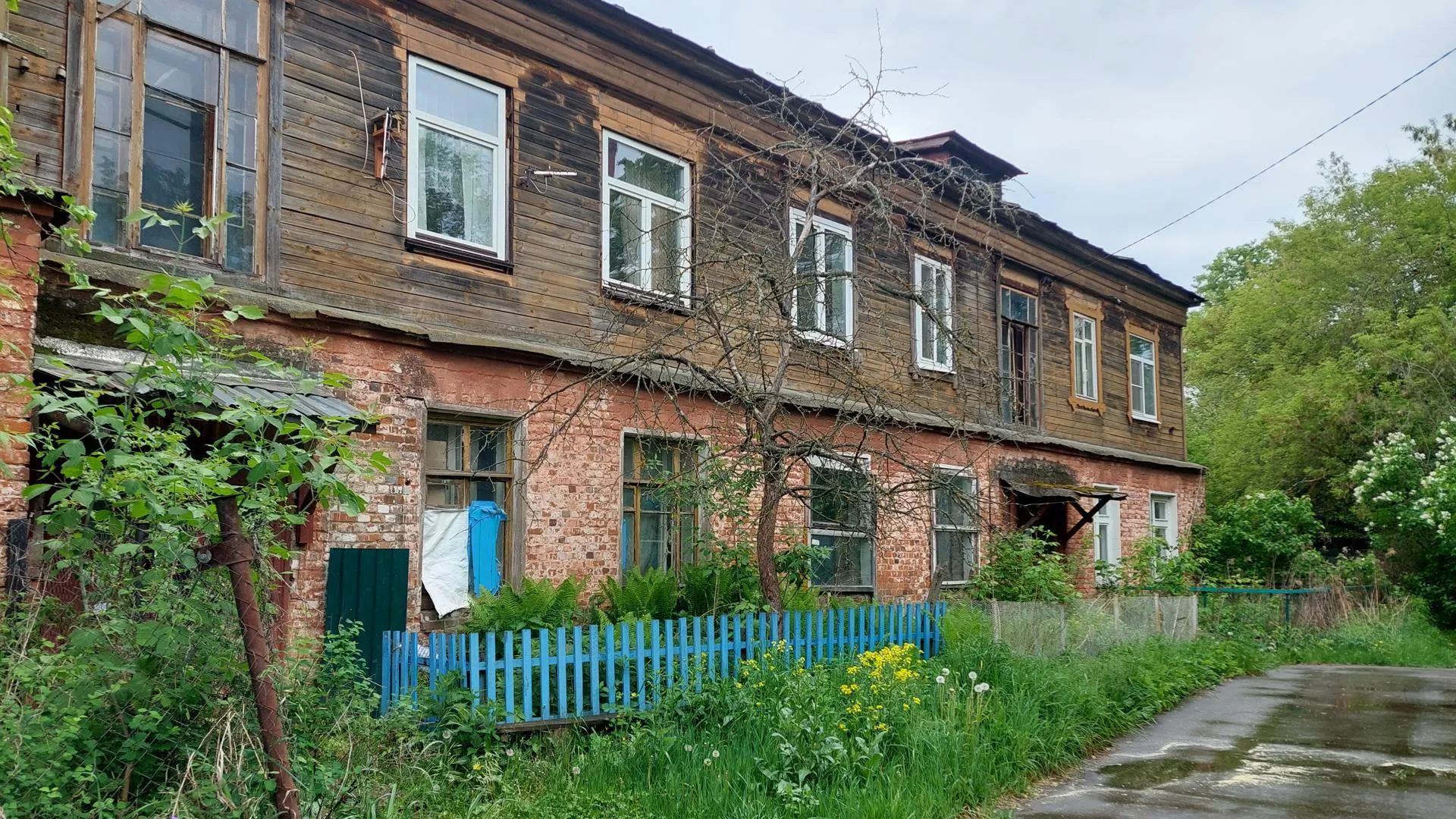 Фото: Светлана Плотникова