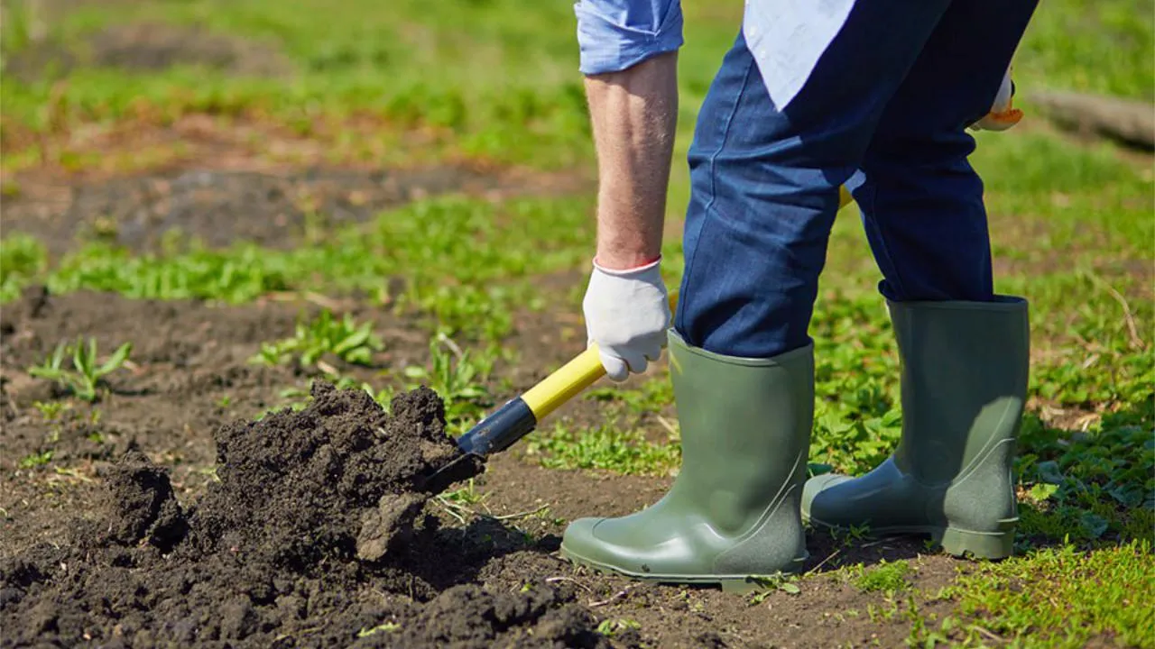 istockphoto.com/Pressmaster