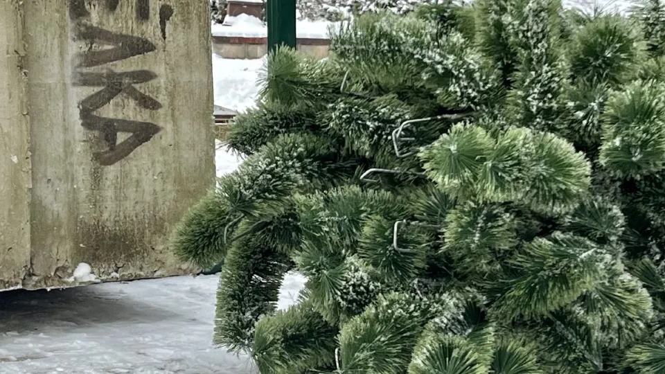 Фото: МедиаБанк Подмосковья/Анна Тюрюмина