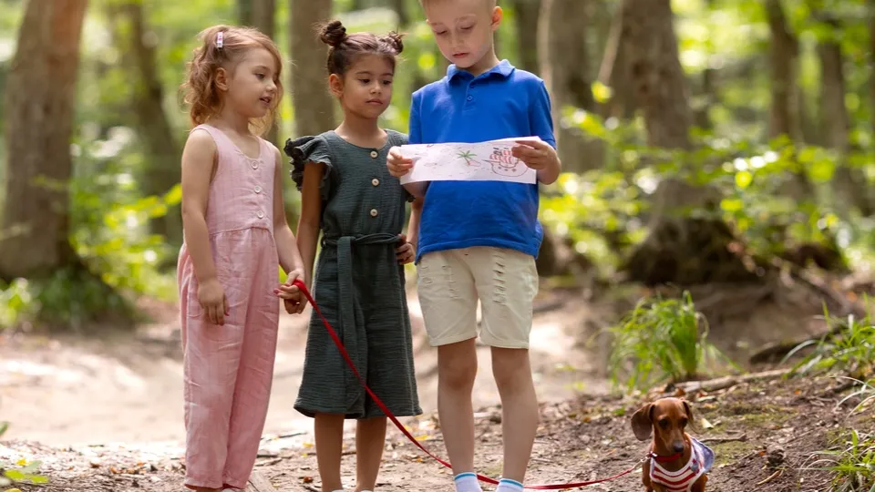 Фото: freepik.com