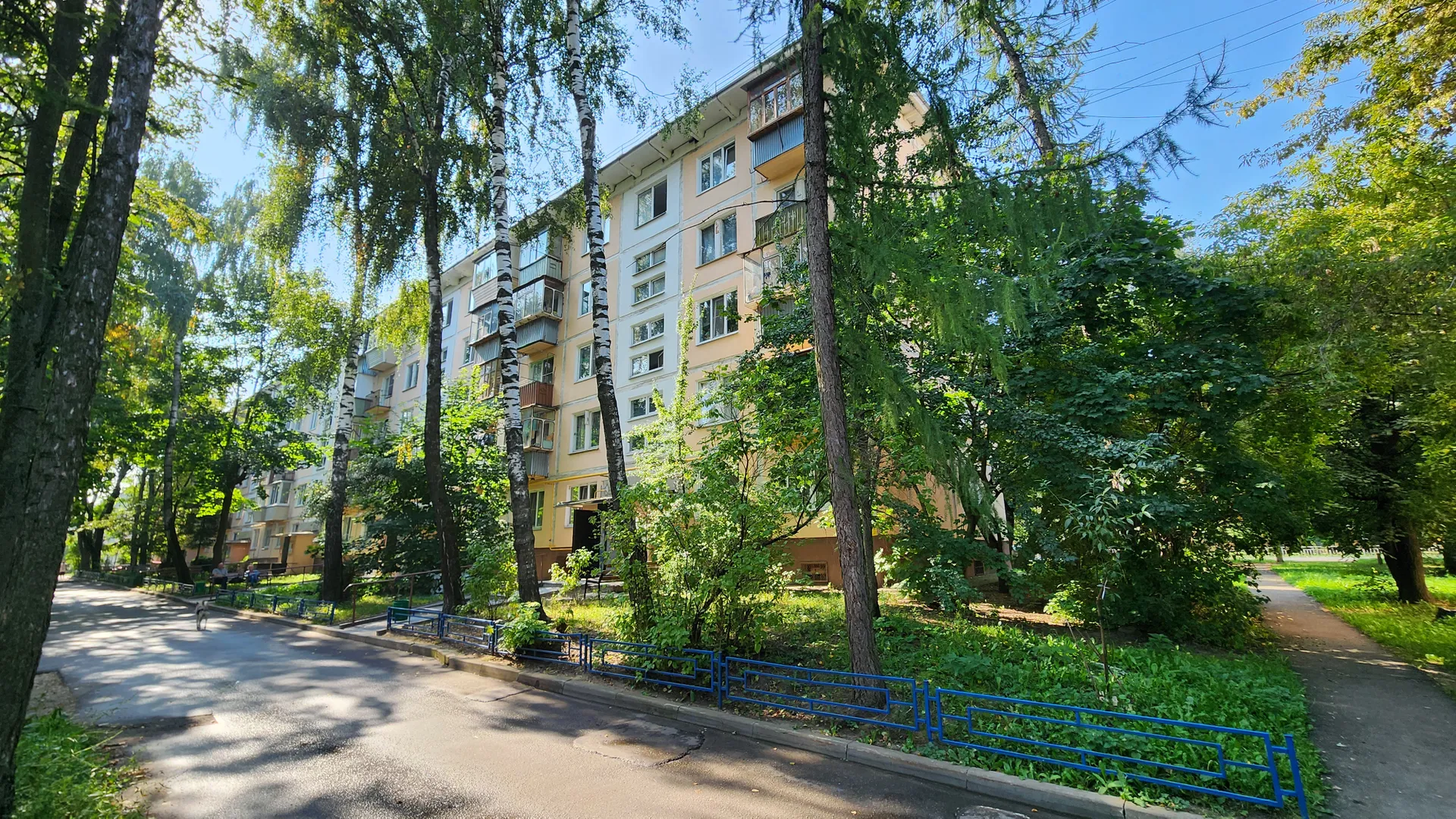 Фото: Ольга Антонова