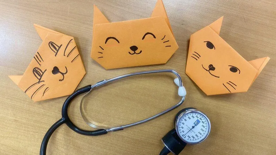 Фото: Орехово-Зуевская больница