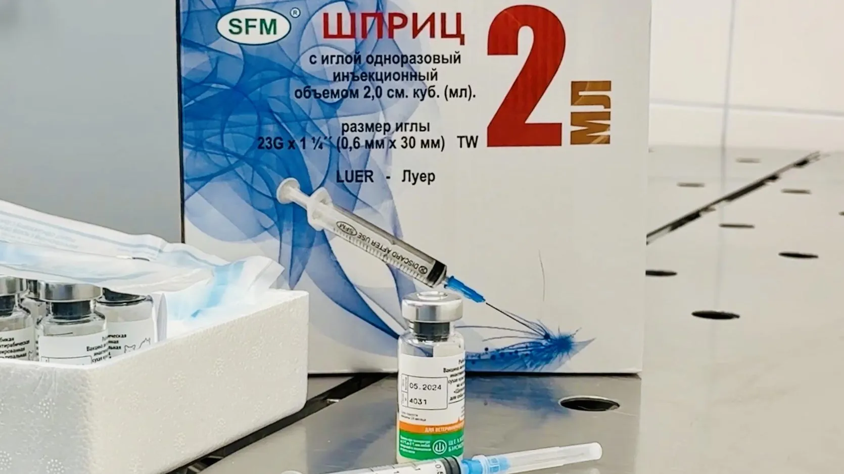 Фото: Ольга Стаферова