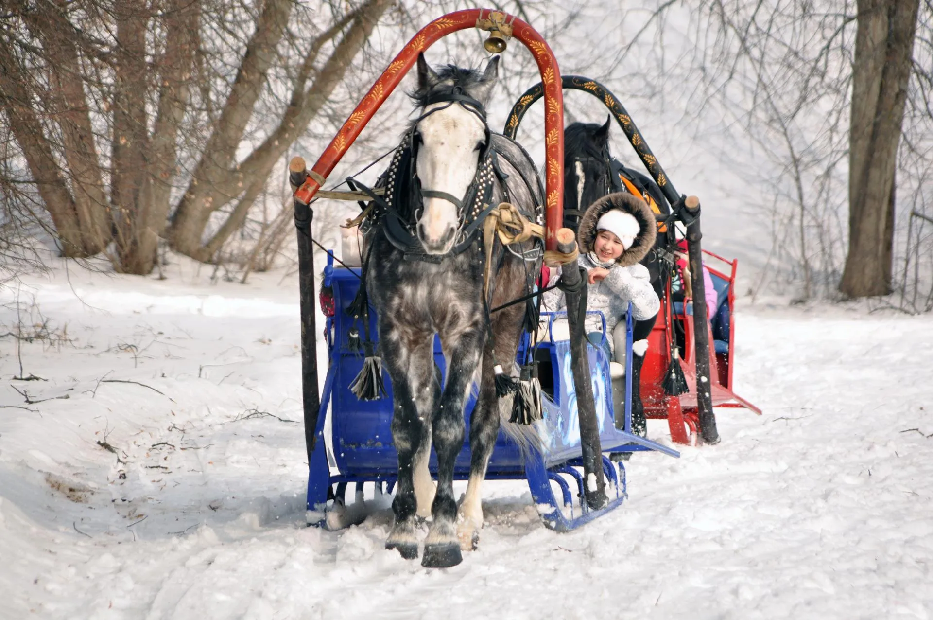 медиасток.рф