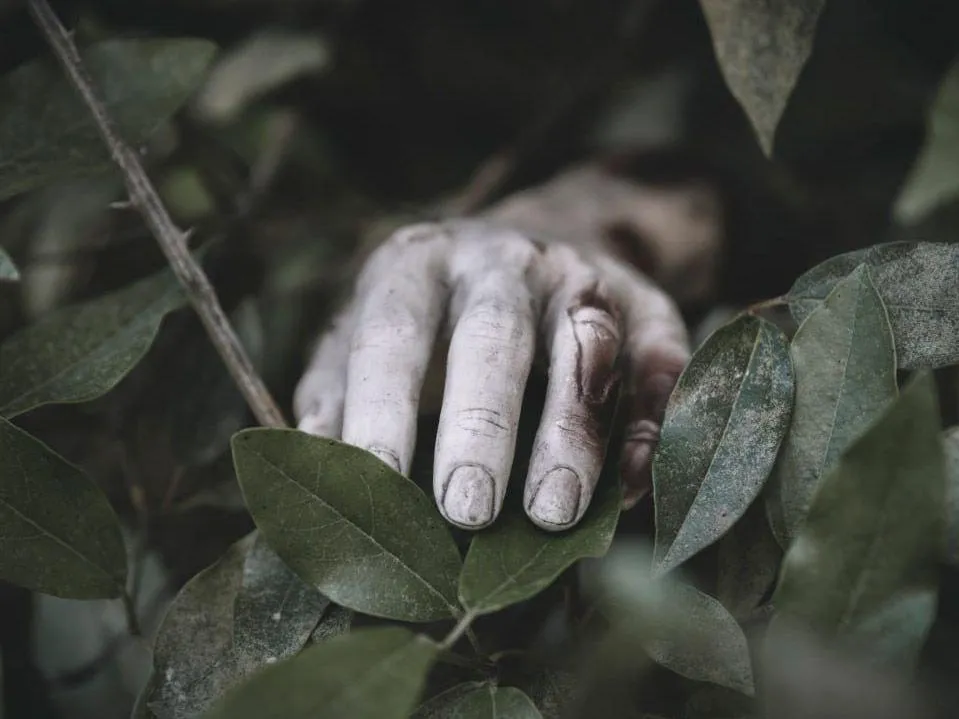 Знаменитый экстрасенс Мишина предсказала страшную болезнь, которая настигнет Европу в ближайшие годы