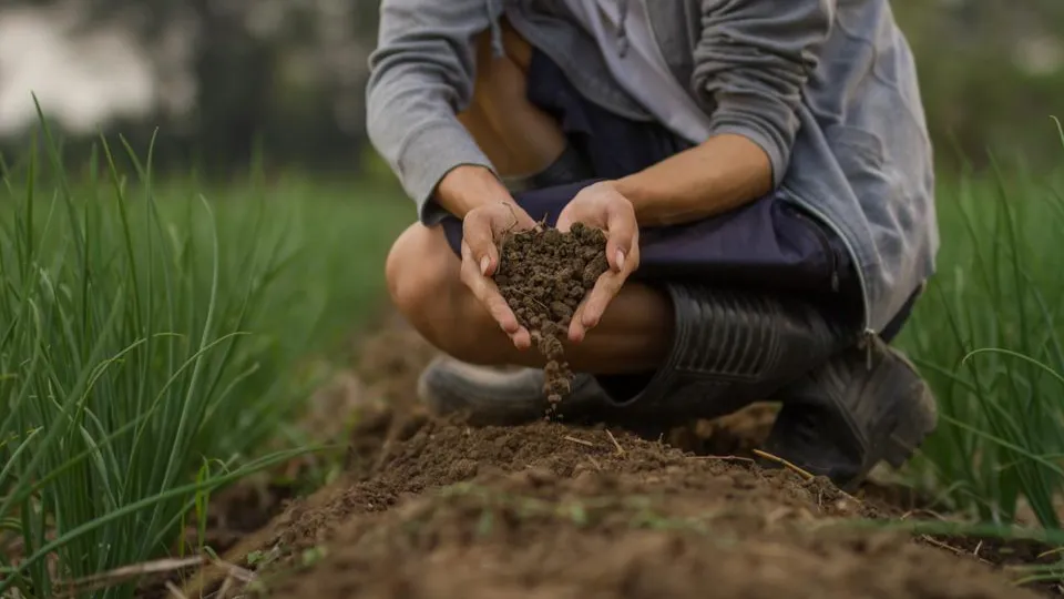 Фото: istockphoto.com