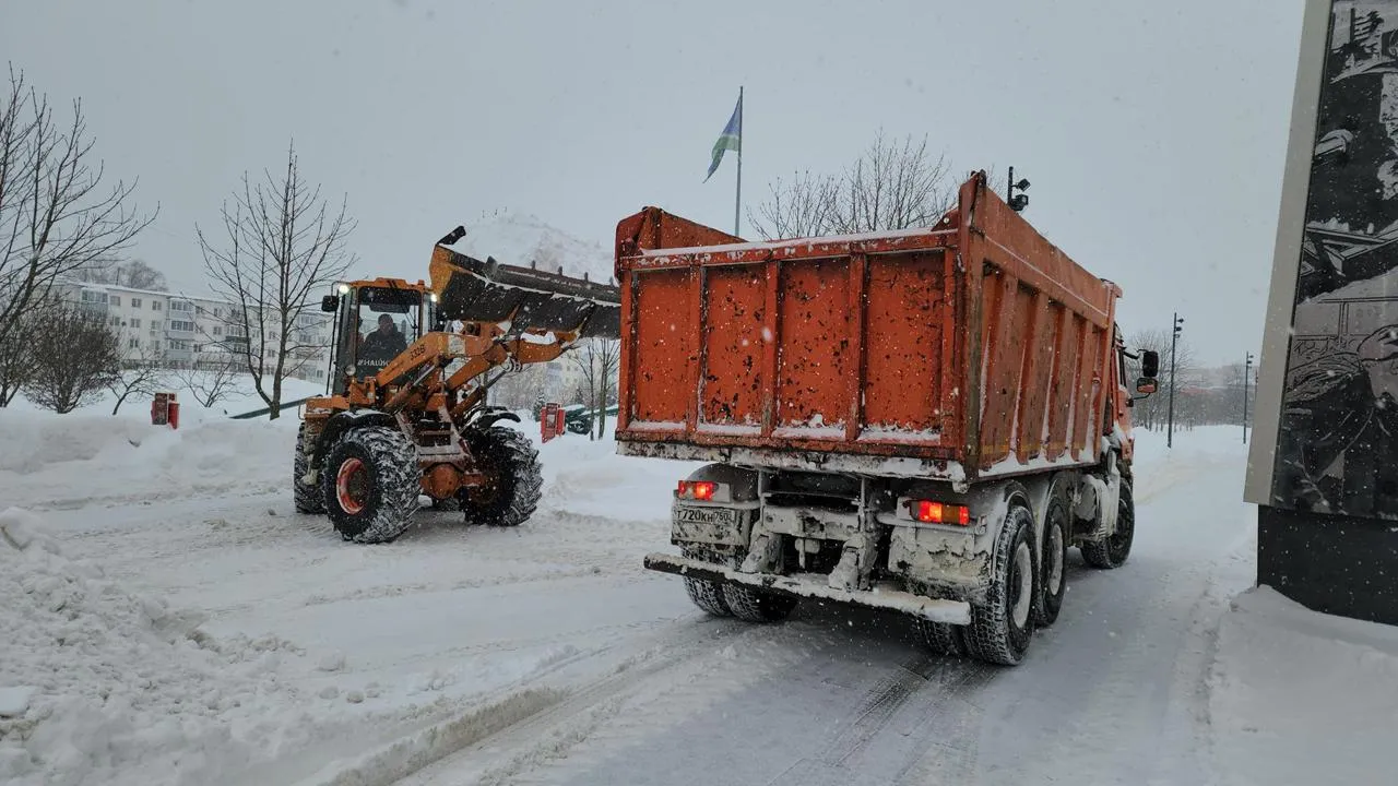 Медиабанк Подмосковья/Иван Дубров