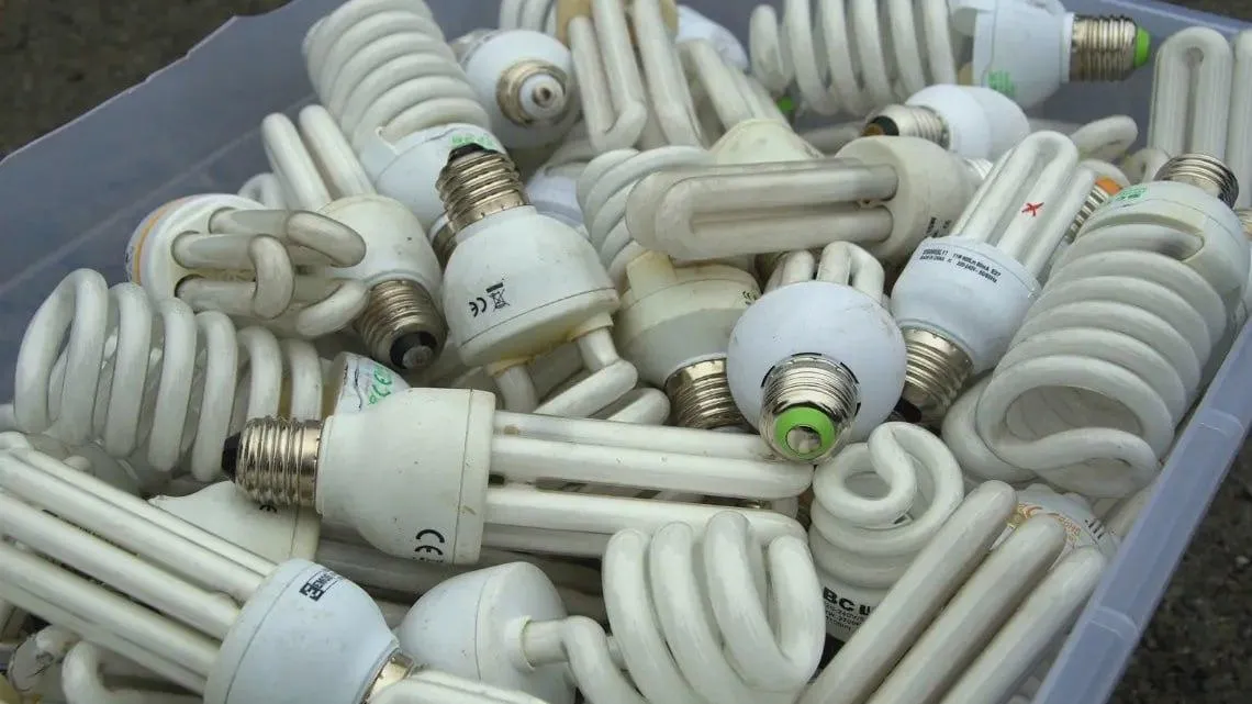 Фото: пресс-служба Администрации г.о. Истра