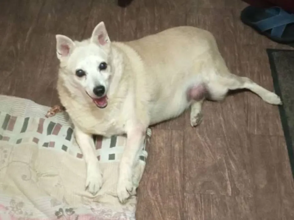 Фото: личный архив Елены Токаревой