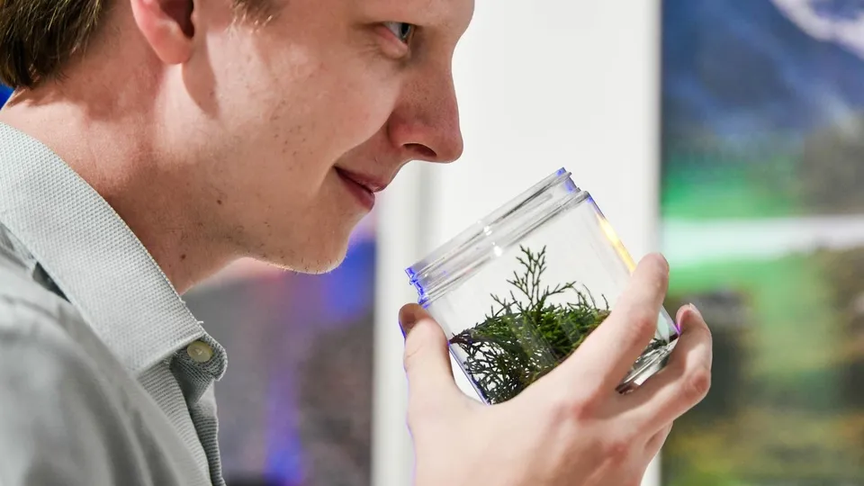 Фото: пресс-служба Администрации г.о. Химки