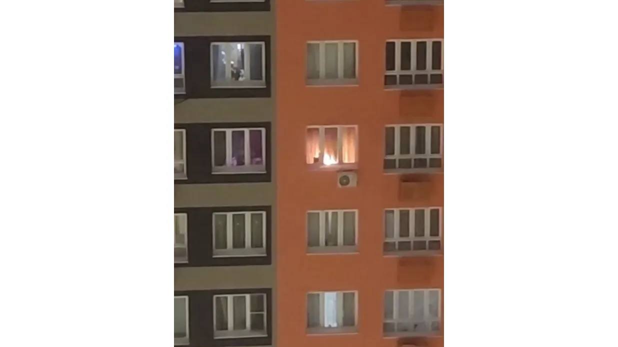 Фото: ТГ-канал «Рай и МКАД»