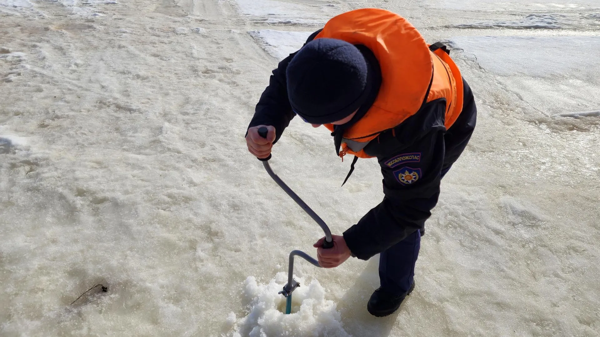 МедиаБанк Подмосковья/Ольга Аввакумова