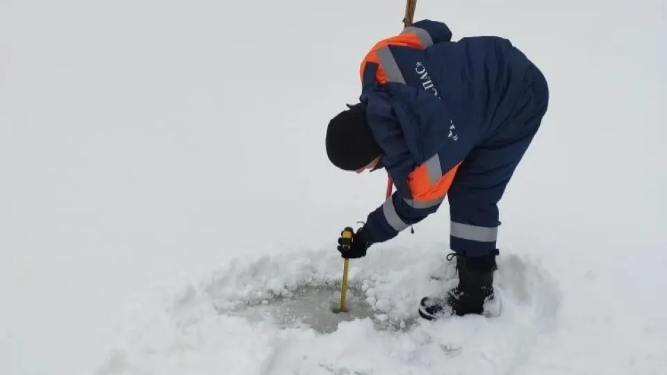 Фото: t.me/mkueddsche