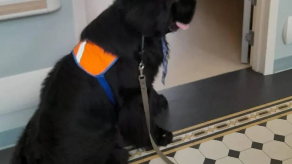 Фото: пресс-служба администрации городского округа Долгопрудный