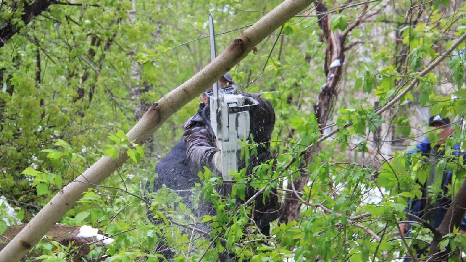 Фото: пресс-служба администрации Дмитровского г.о.