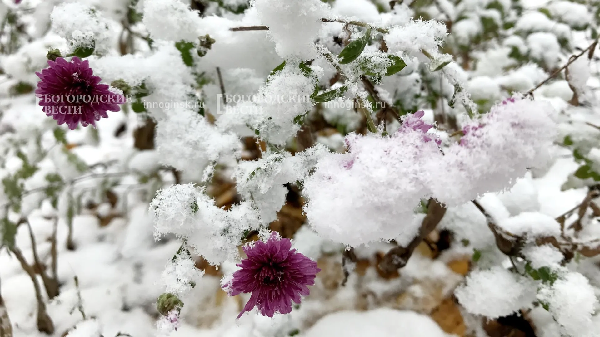 Фото: Александр Легкий