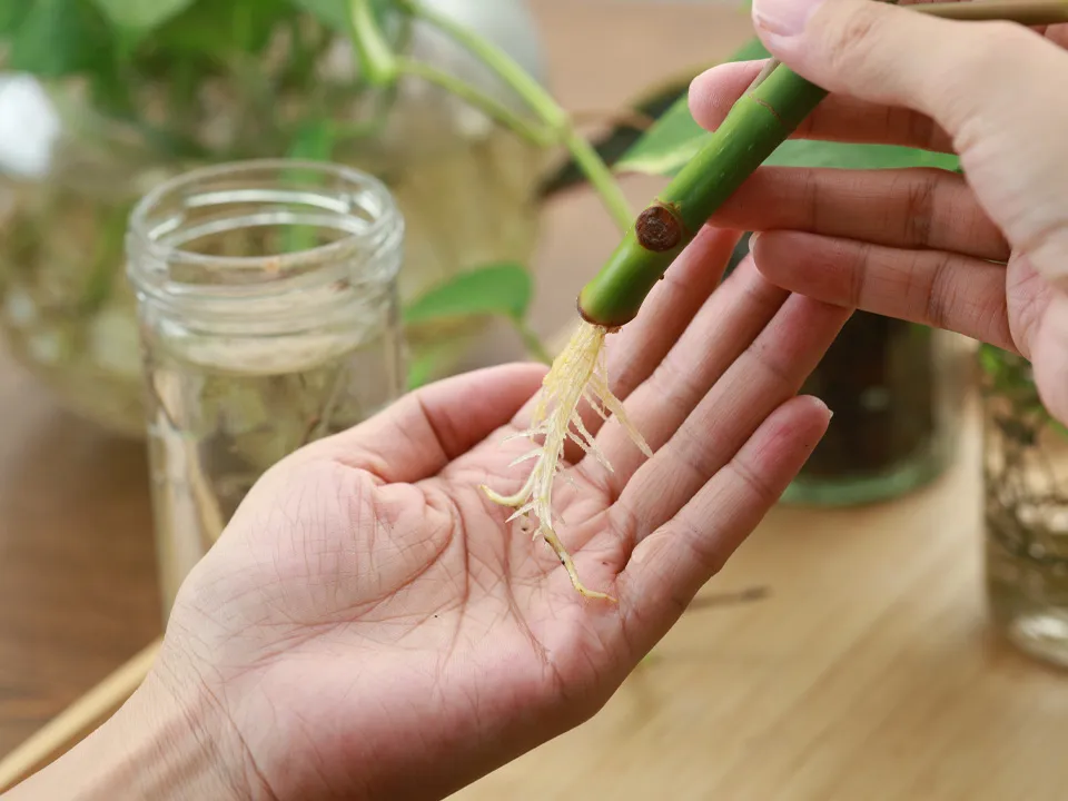 Фото: istockphoto.com/tylim&nbsp;