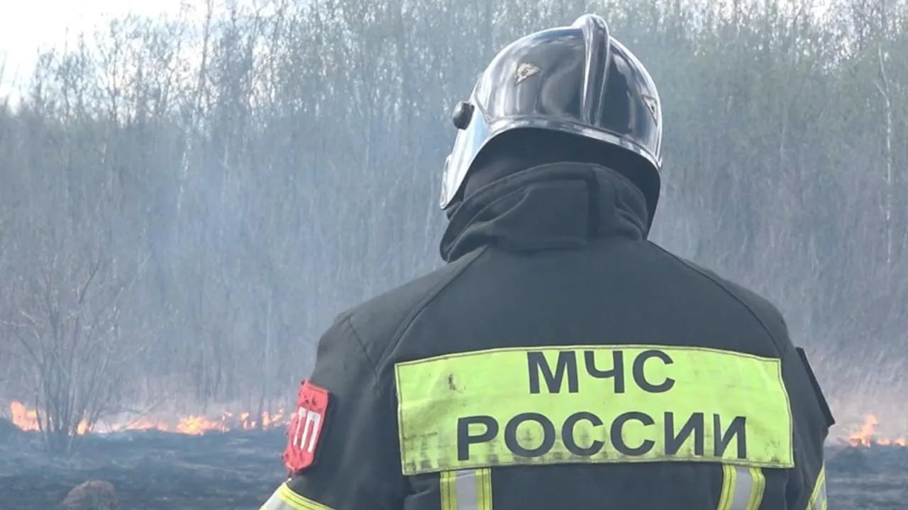 МедиаБанк Подмосковья/Наталия Надточая