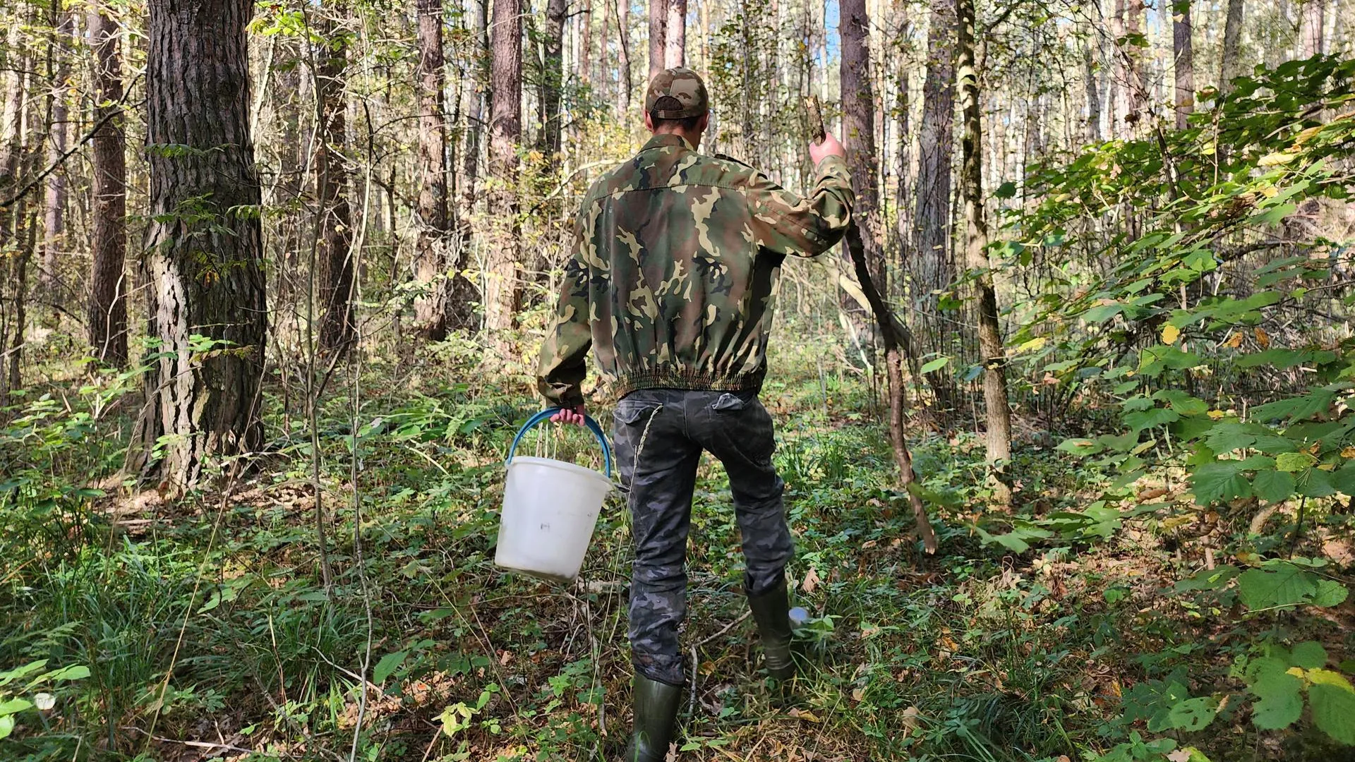 Александр Стёпушкин