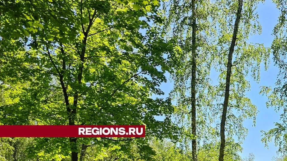 Фото: Александр Дрожжин