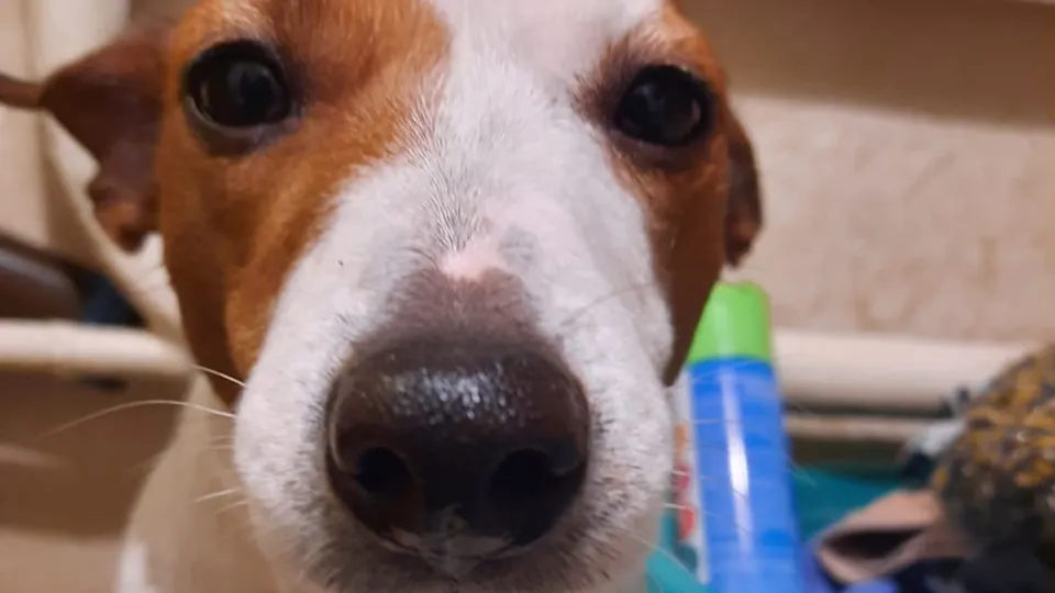 Фото: Марина Цимбалова