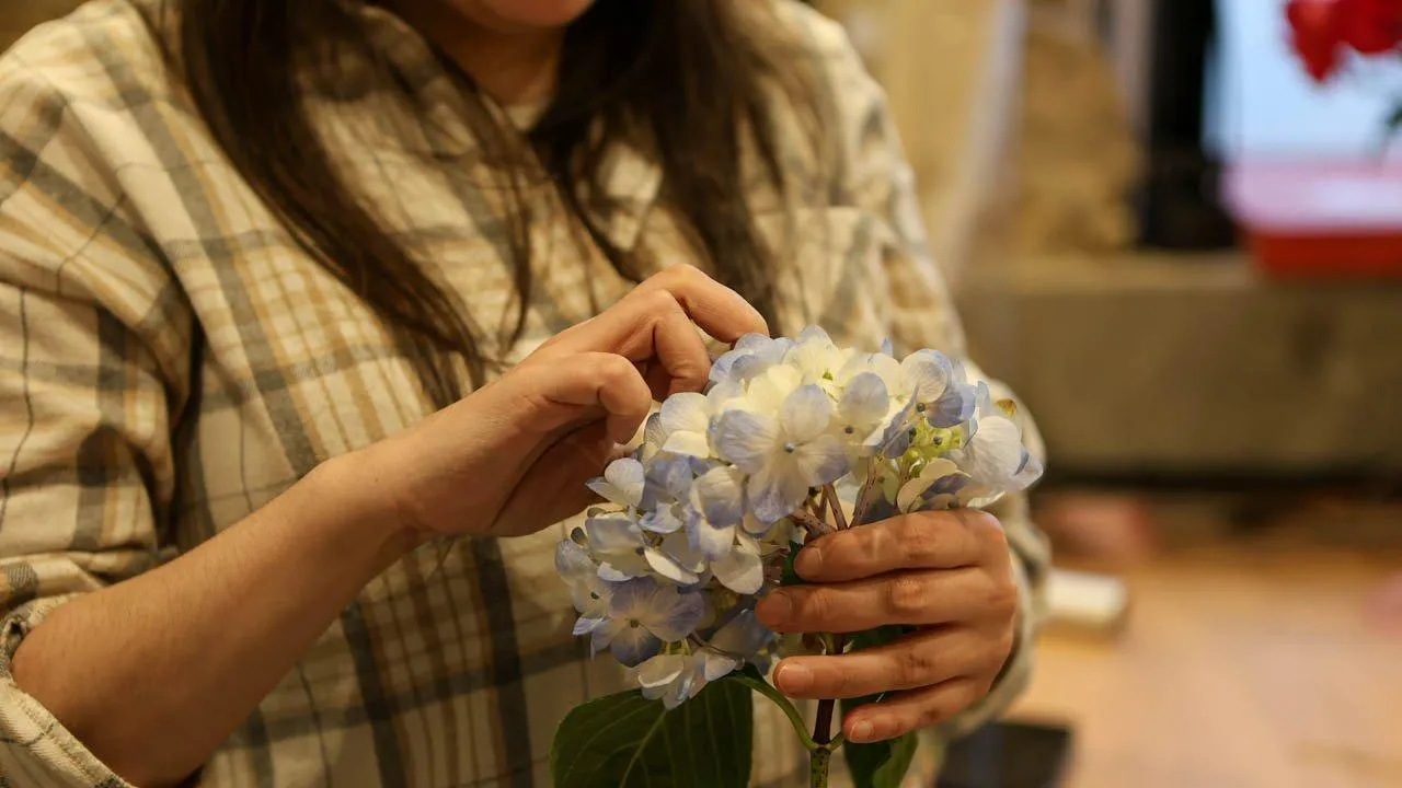 REGIONS/Роман Малышенко