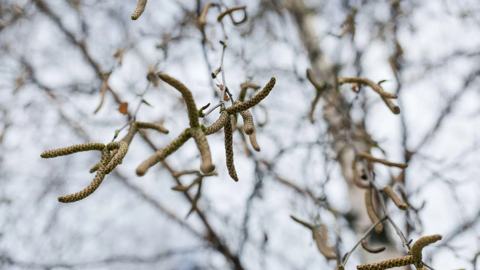 медиасток.рф