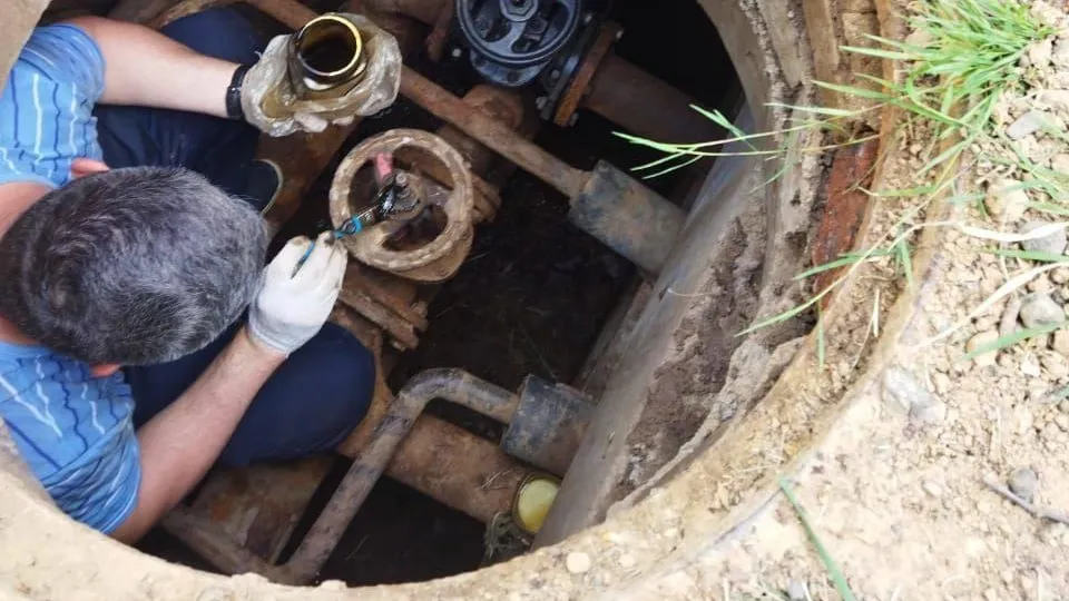 Фото: пресс-служба администрации городского округа Истра