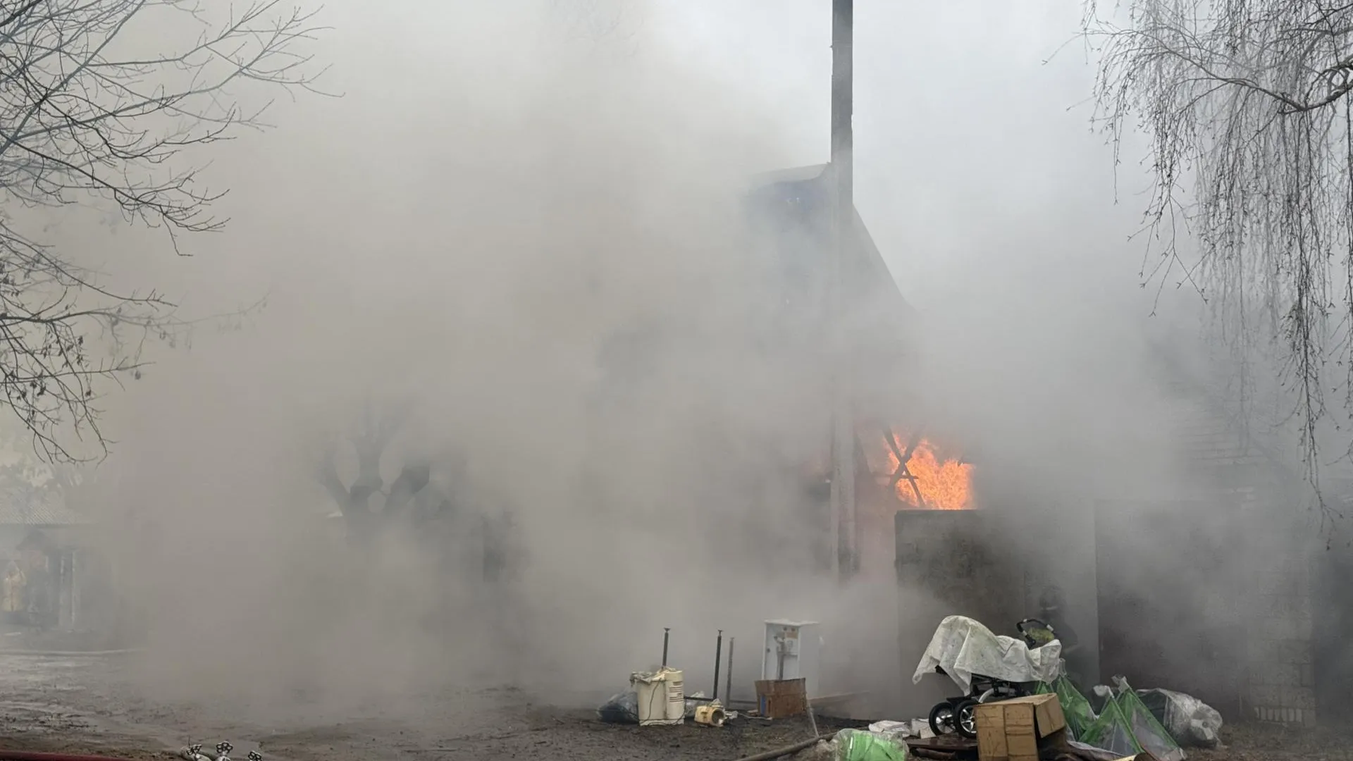 Фото: Ольга Стаферова