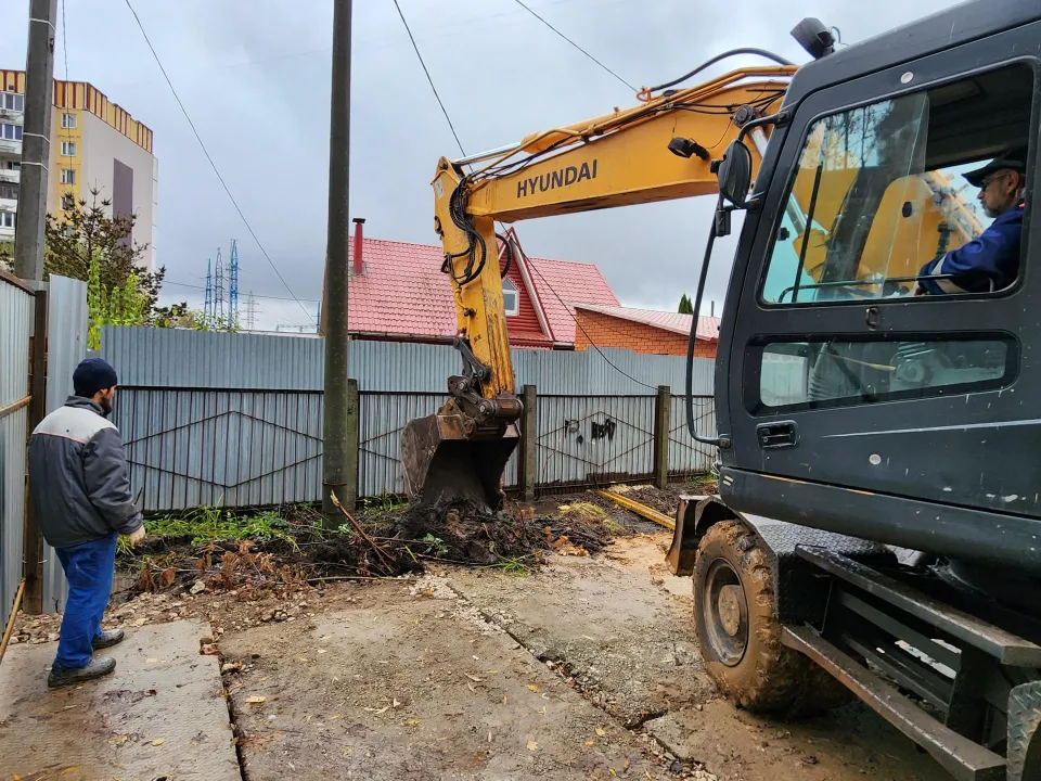 Фото: Медиабанк Подмосковья/Дмитрий Алексеенко