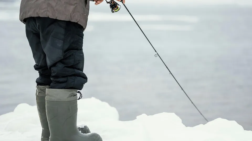 Фото: freepik.com