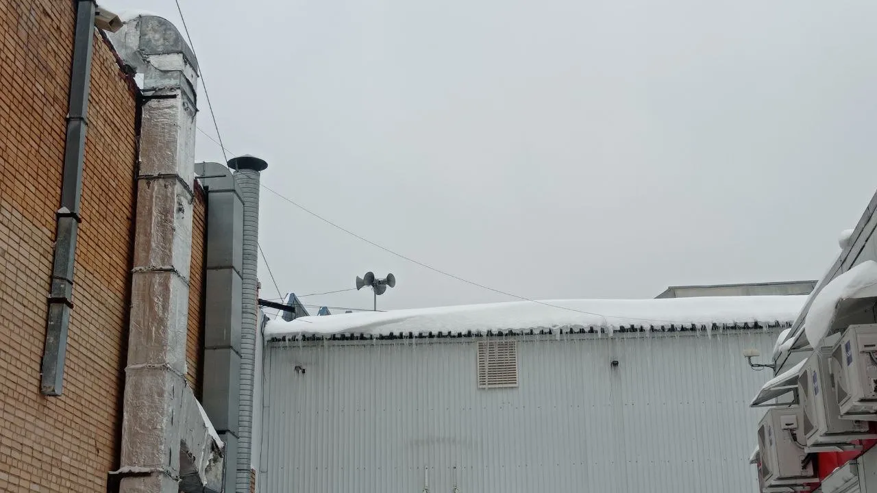 REGIONS/Татьяна Бесаева