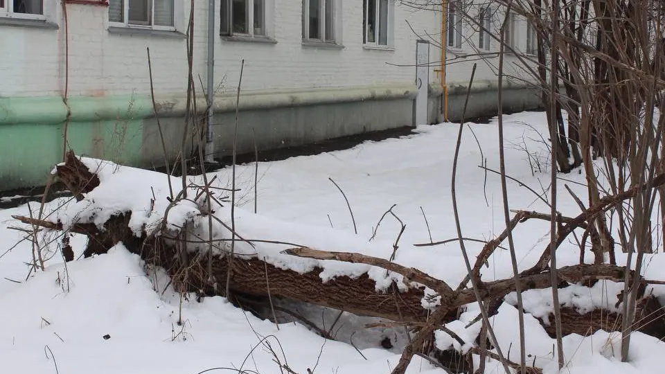 Фото: пресс-служба администрации г.о. Фрязино