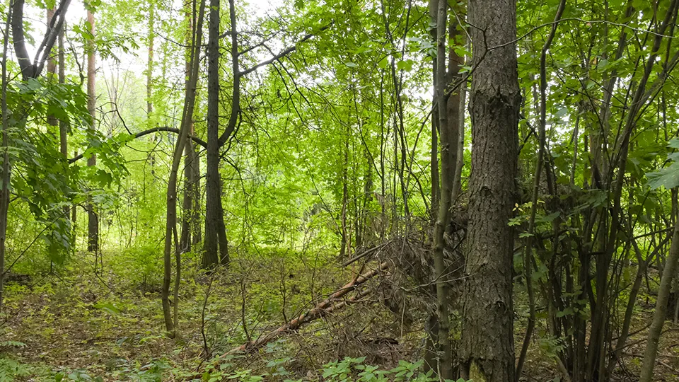 Фото: архив газеты «За новую жизнь»