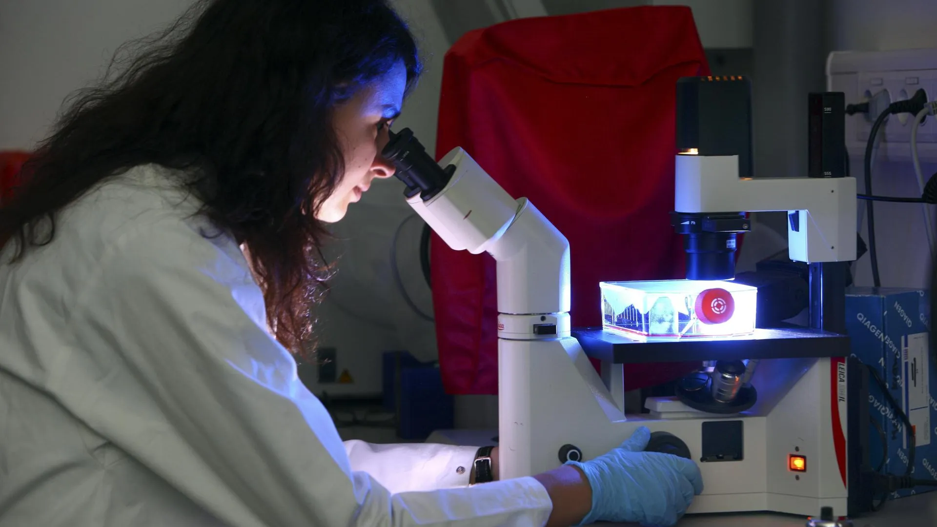 Jochen Tack/imageBROKER.com